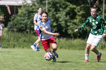 Bild 447 - wBJ Hamburger SV - VfL Wolfsburg : Ergebnis: 5:1